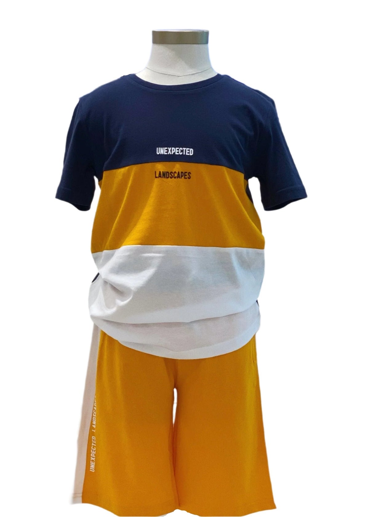 'Unexpected Landscapes' Stripe Top and Short Set