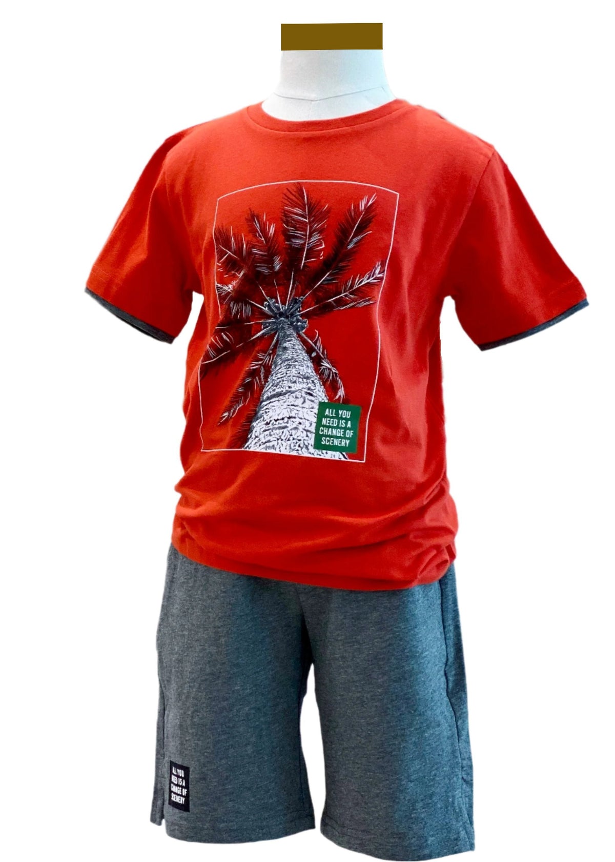 Coconut Design Top and Short Set