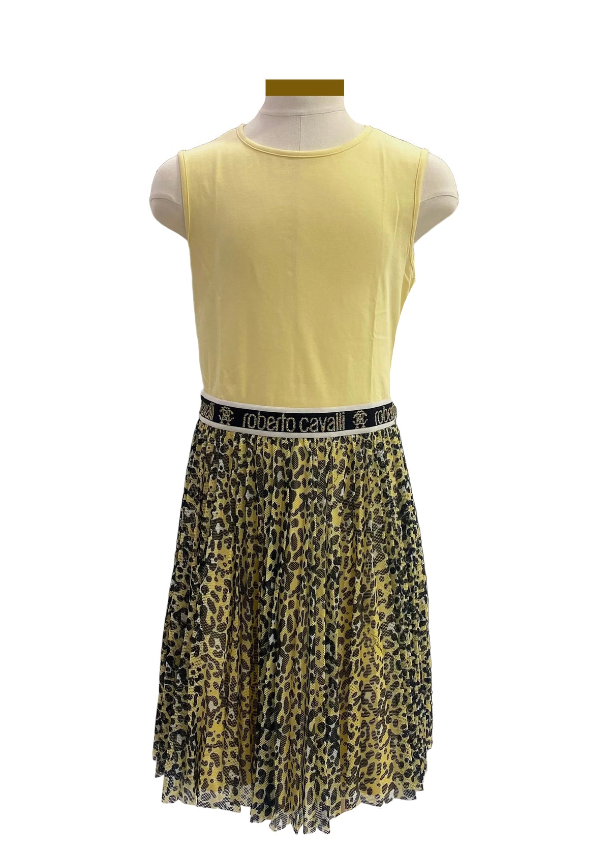 Roberto Cavalli Jaguar Fluid Plisse Dress