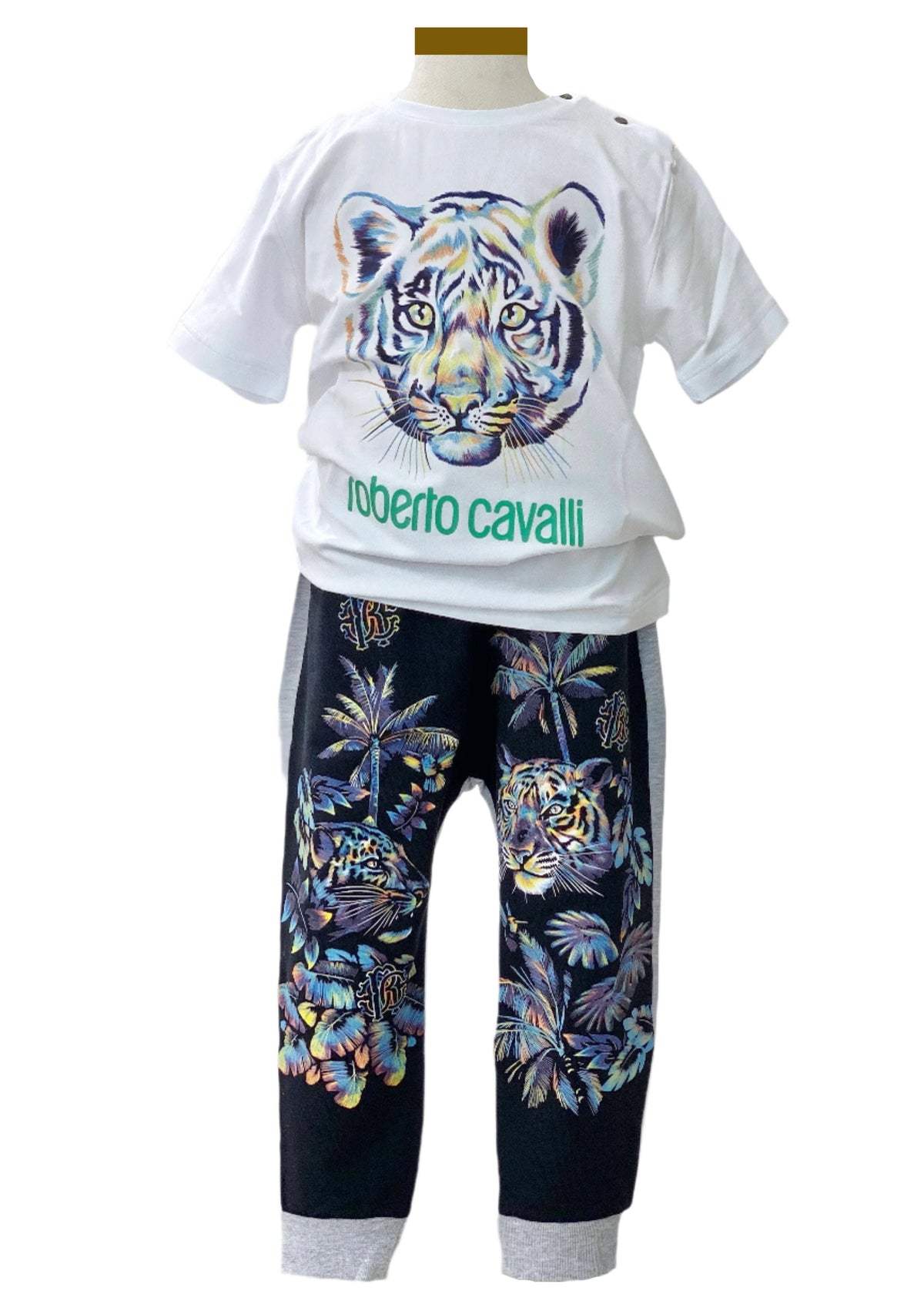 Roberto Cavalli Tiger Print Top and Jogger Set