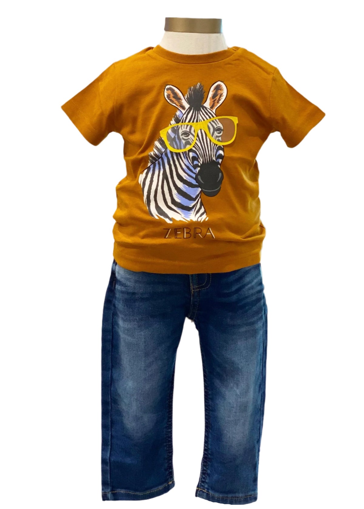 Zebra Print Top and Pants Set