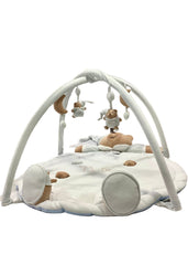 Baby Gym