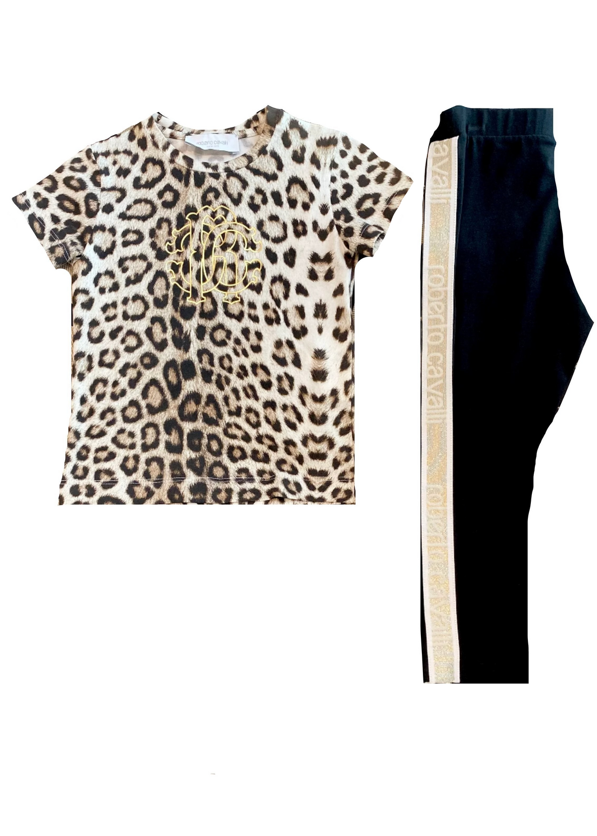 Leopard Print Top and Legging Set