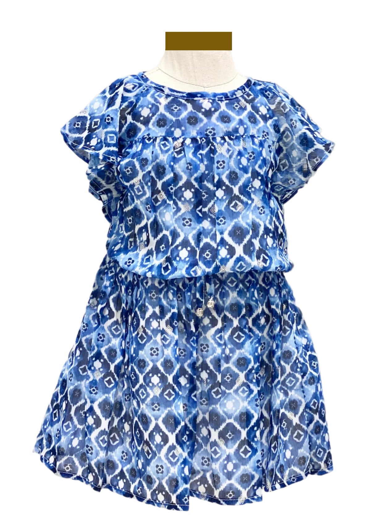 Blue Chiffon Printed Dress