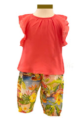 Chiffon Ruffle Top and Pants Set