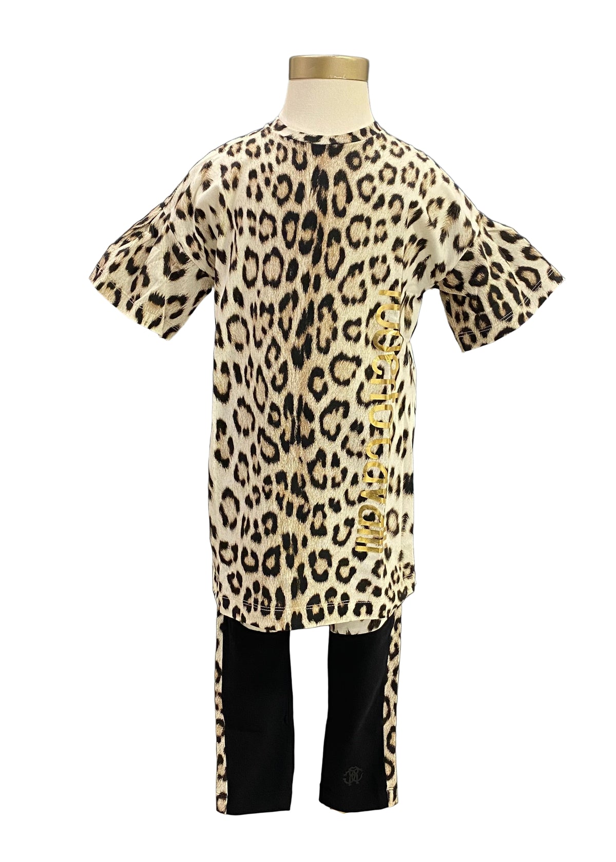 Leopard Pattern Top and Leggings Set