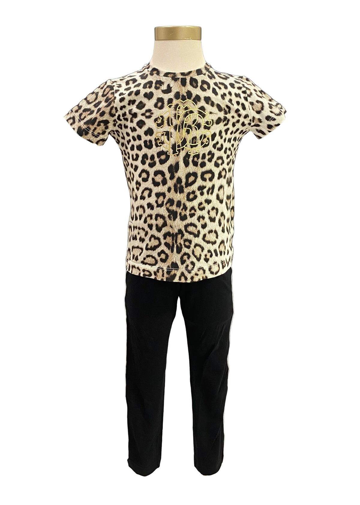 Leopard Print Top and Legging Set