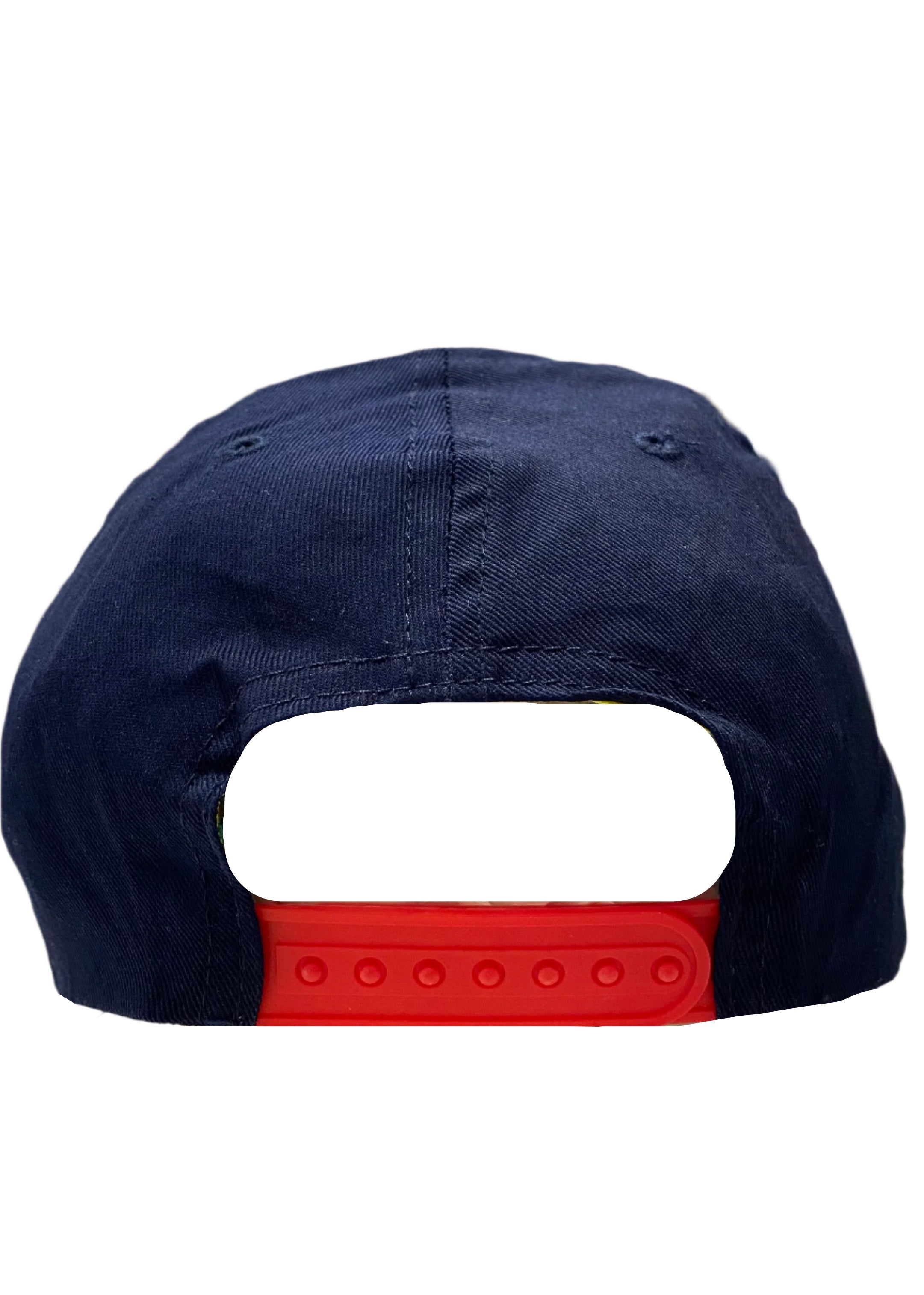 Race Signal Flag Embroidered Cap